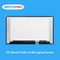 HP ZBook Firefly 14 G8 Laptop Screen