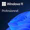 Windows 11 Pro, OEI DVD 64Bit English Version, 1 PC, Original Activation Key, Lifetime License